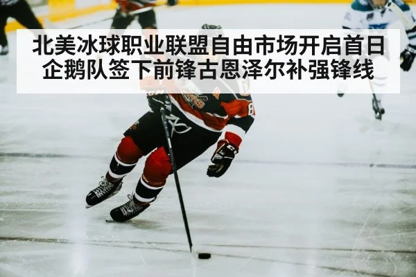 北美冰球职业联盟自由市场开启首日企鹅队签下前锋古恩泽尔补强锋线